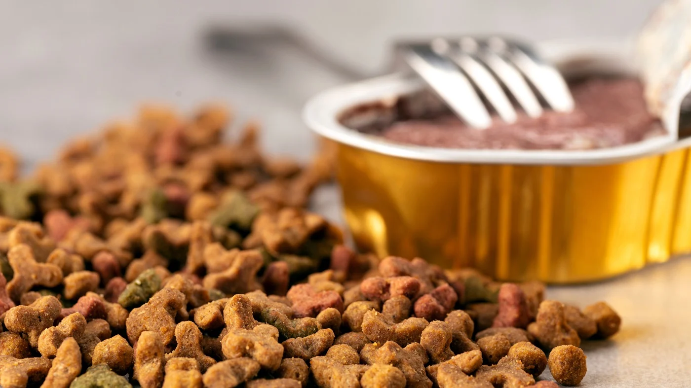 Karmy sezonowe - dlaczego warto dostosować dietę