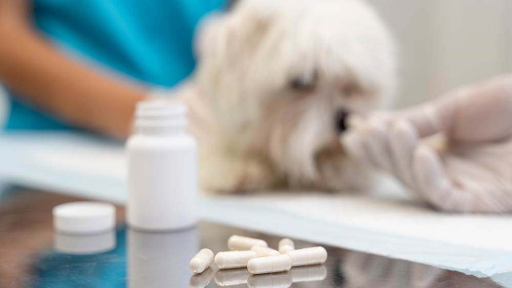 Zdrowe kości i stawy - żywienie i suplementacja