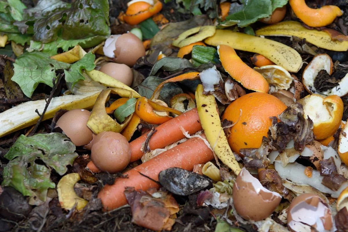 Boguszowice Stare bez PSZOK-u dla bioodpadów – sprawdź alternatywę w Niewiadomiu