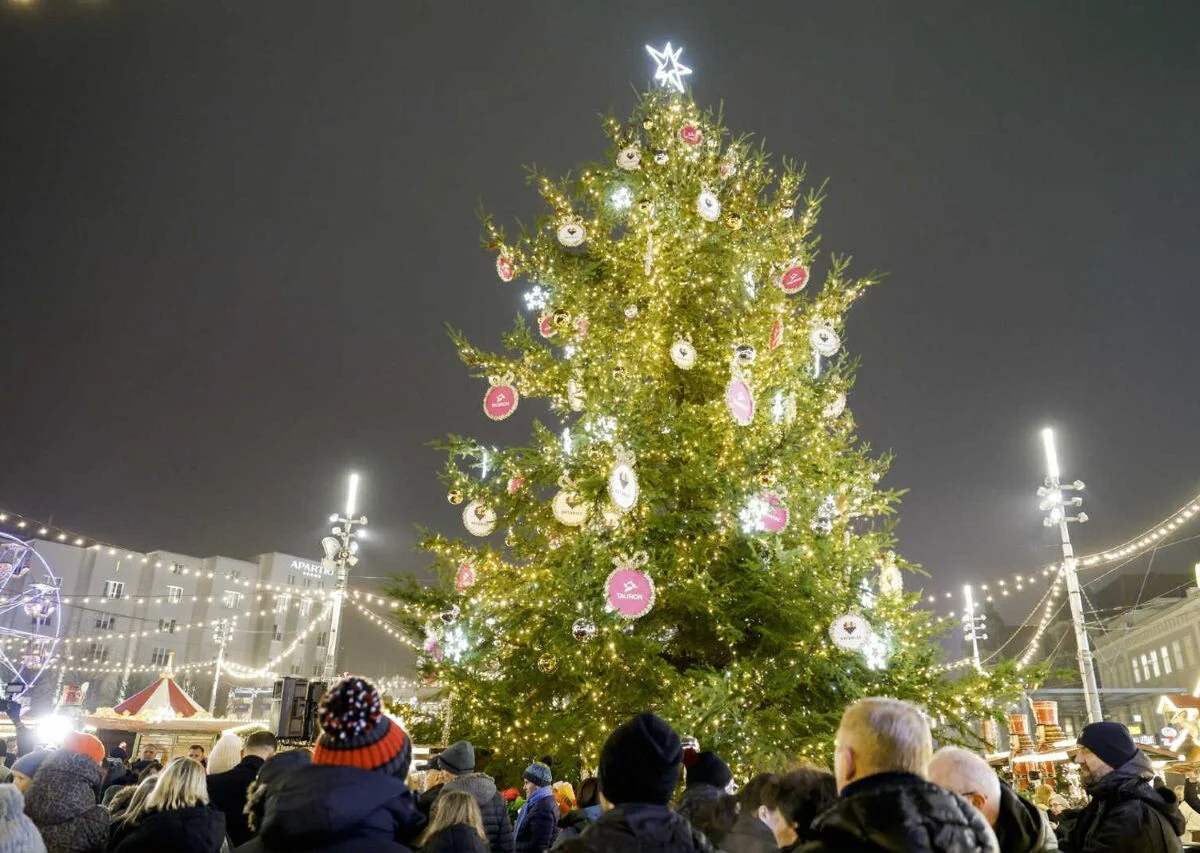 Choinka na katowickim rynku rozbłysła tysiącami światełek!