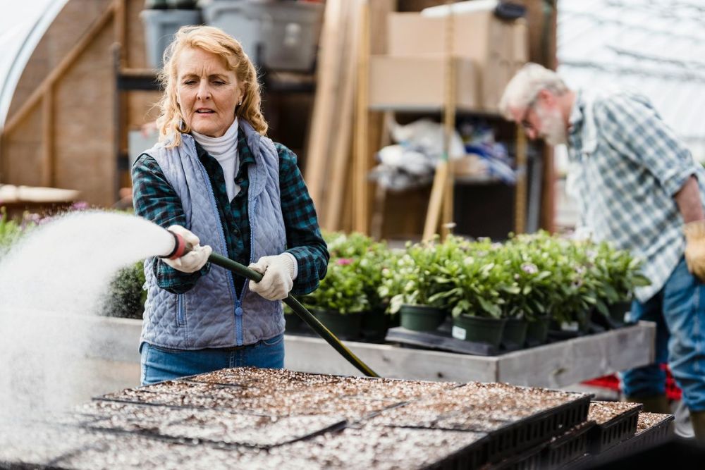 Te warzywa warto posadzić w przydomowym warzywniku! Sprawdzone typy na zdrowy plon
