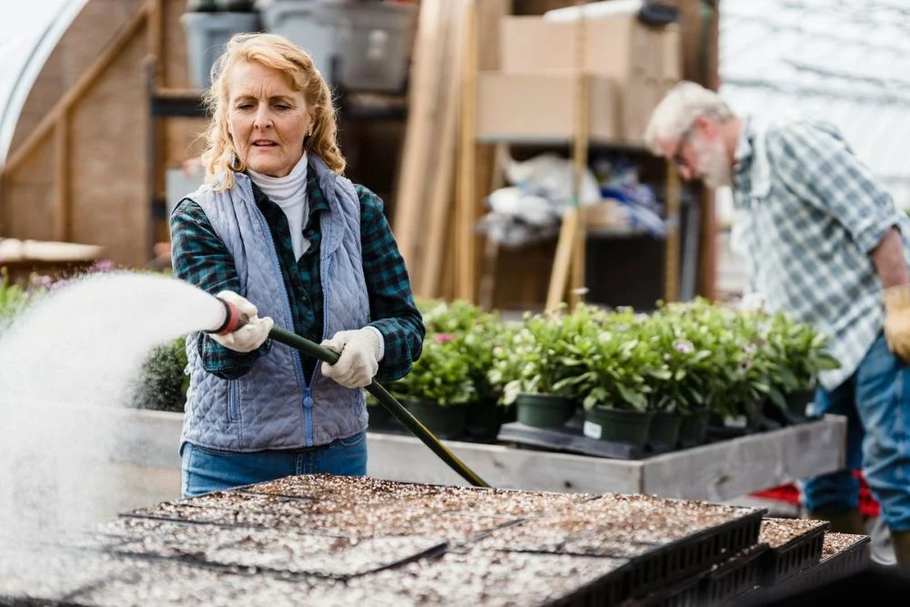 Te warzywa warto posadzić w przydomowym warzywniku! Sprawdzone typy na zdrowy plon