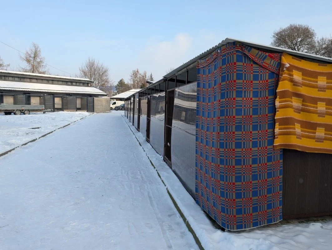 Schronisko dla bezdomnych zwierząt gotowe na mrozy. Kontrola potwierdziła dobre warunki