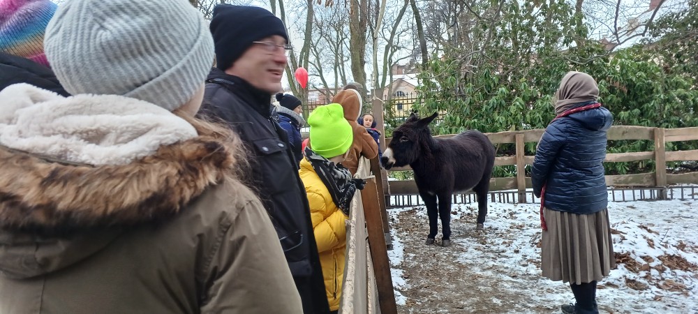 Orszak Trzech Króli 2026 w Zabrzu. Ulicami miasta przeszedł barwny pochód / fot. Sara Synowiec