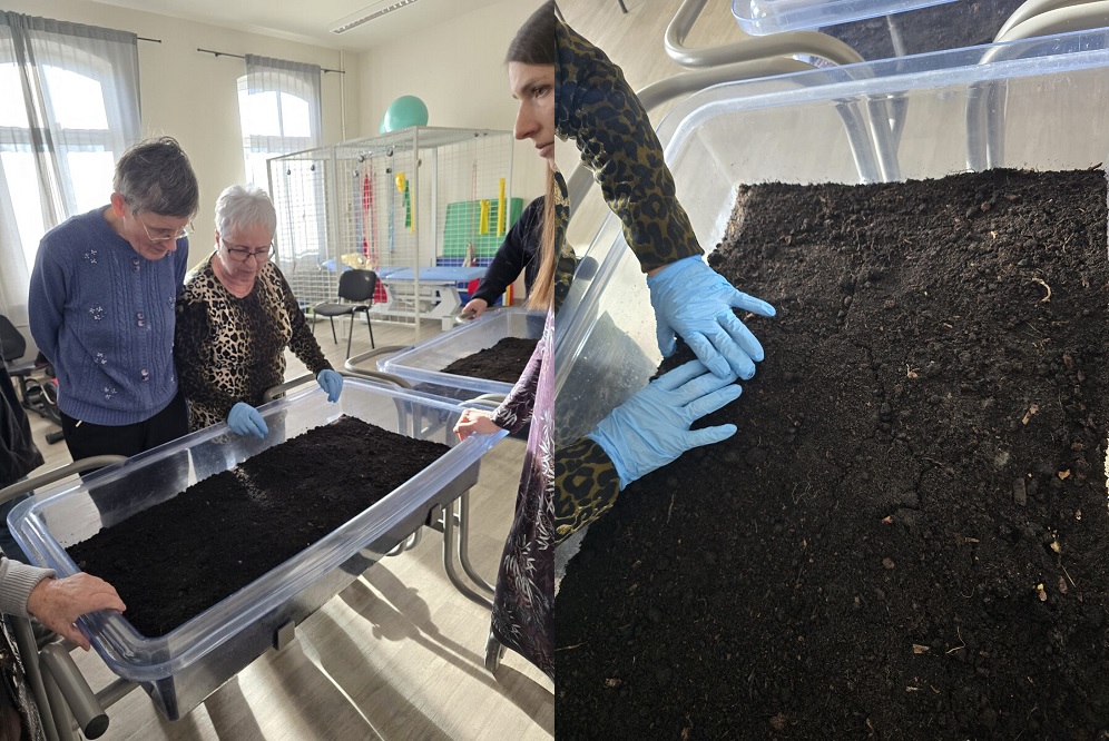 Ogród deszczowy przy DDP w Zabrzu – ekologia w centrum uwagi