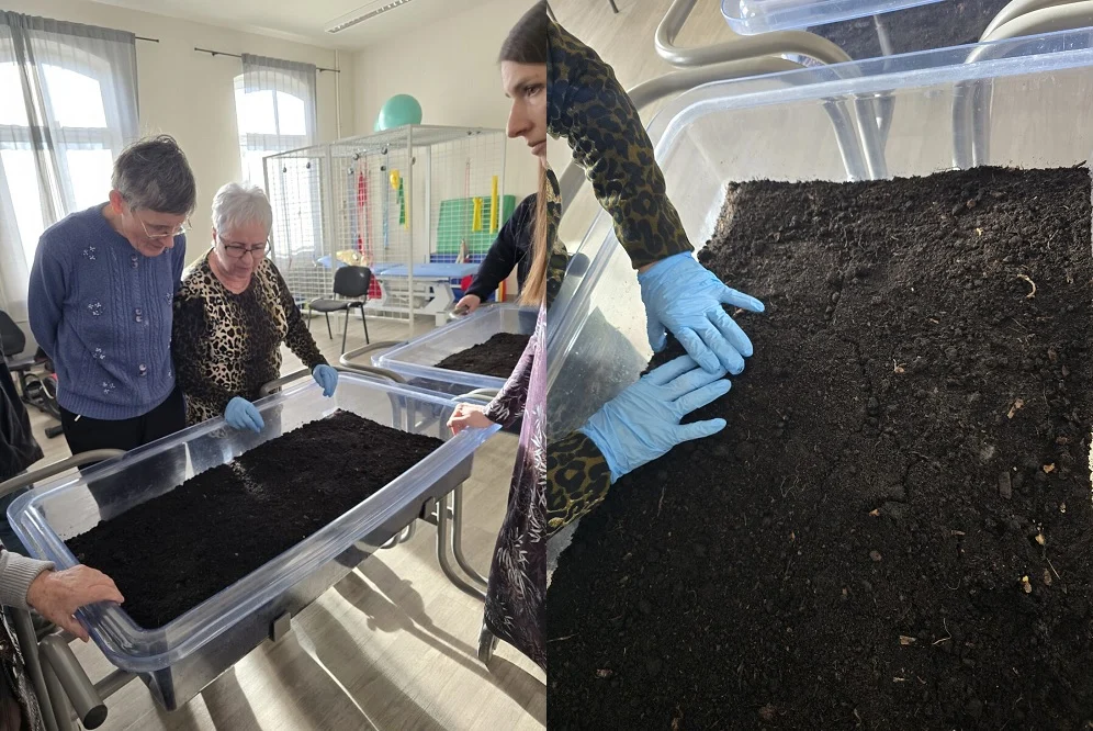 Ogród deszczowy przy DDP w Zabrzu – ekologia w centrum uwagi