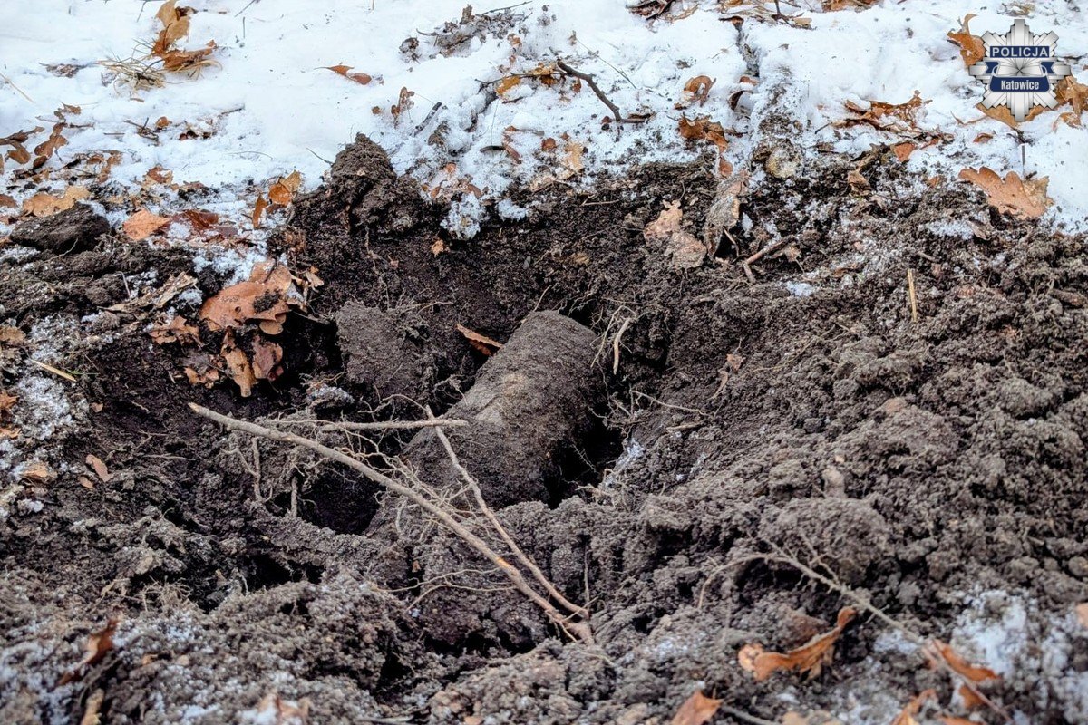 Niebezpieczne znalezisko w Katowicach: pocisk artyleryjski na terenach leśnych