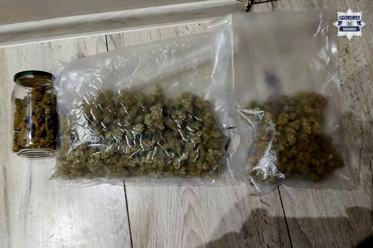 Katowiccy policjanci zabezpieczyli blisko pół kilograma marihuany. 30-latek z zarzutami