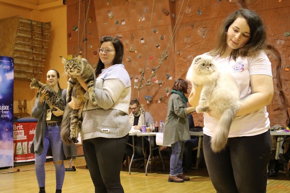 612028807_1321688386668443_361323638966329562_n