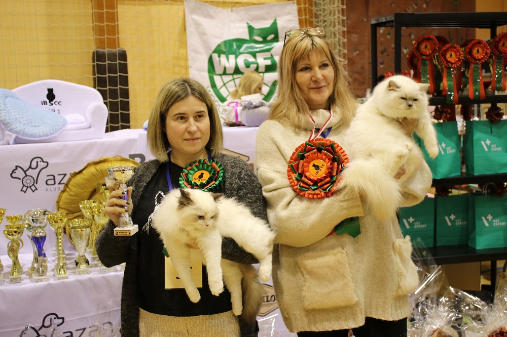 Międzynarodowa Wystawa Kotów Rasowych w Piekarach Śląskich