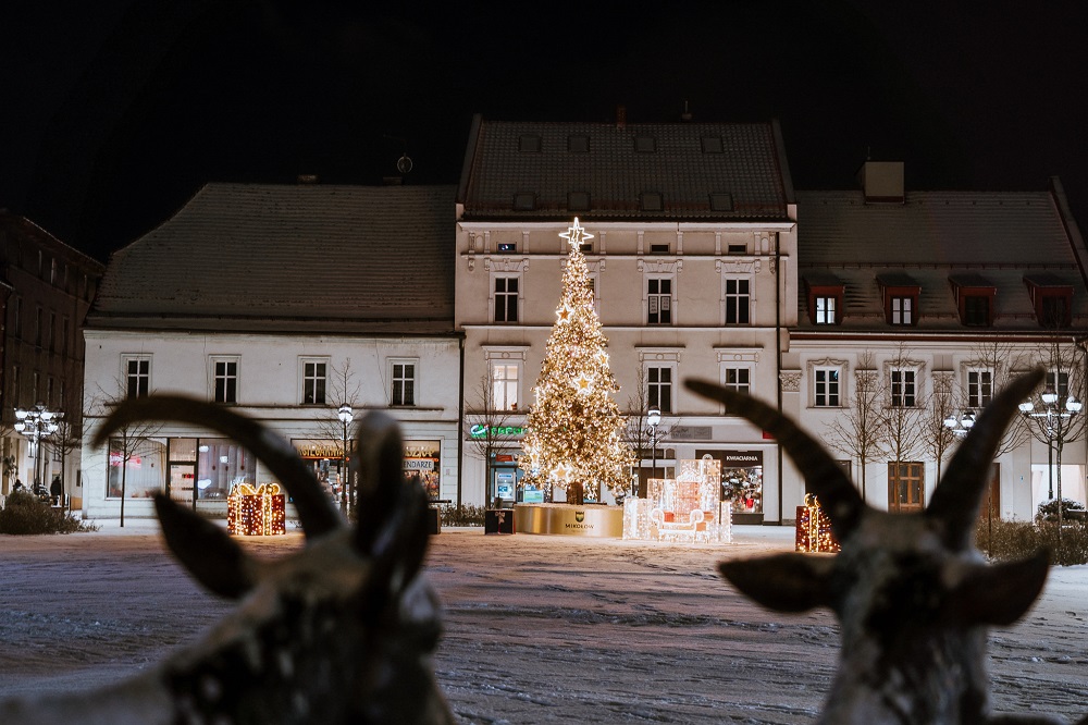 Mikołów otrzymał finansowanie z budżetu państwa na ochronę ludności