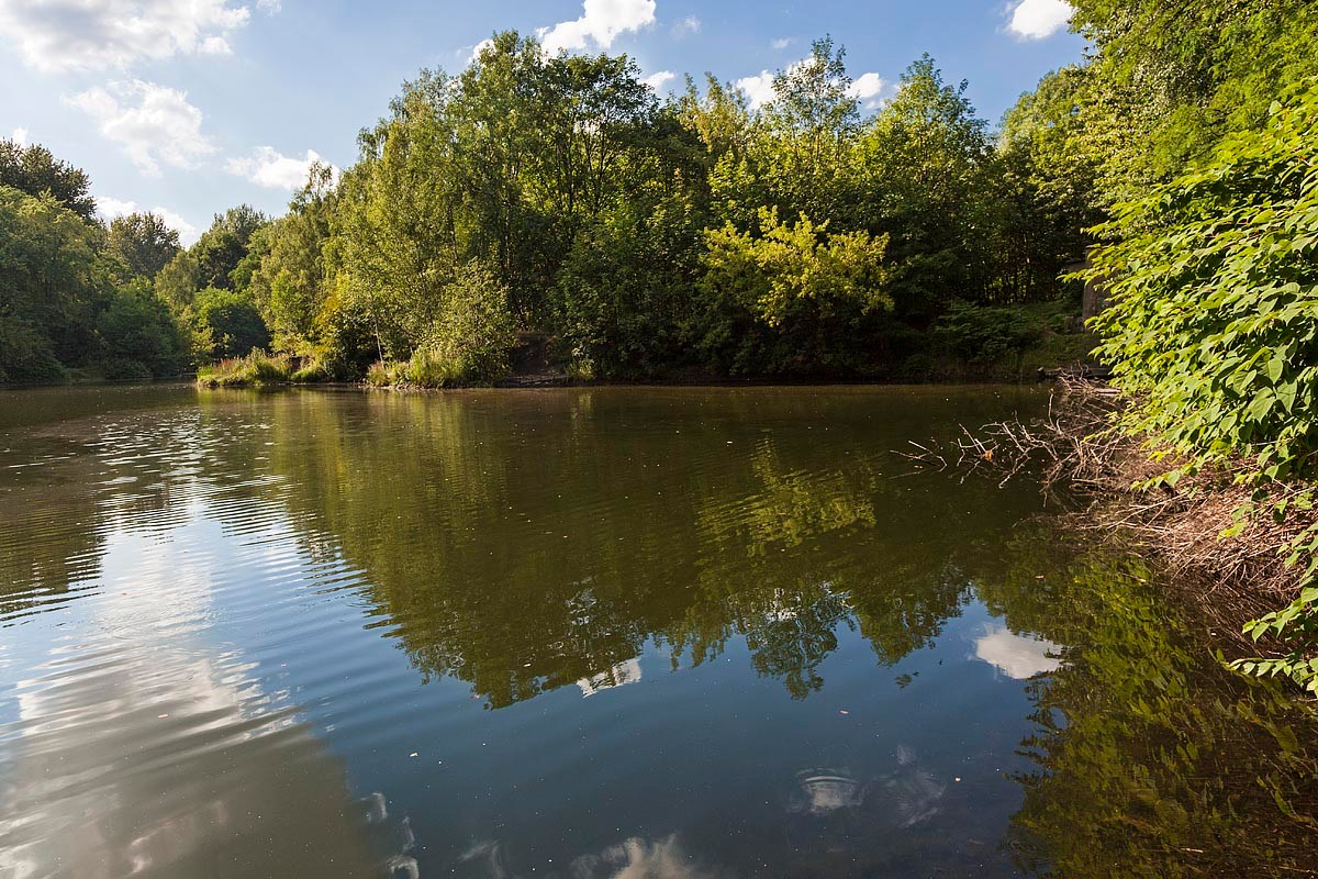 Staw Matylda w Świętochłowicach przejdzie rewaloryzację. Zielona inwestycja miasta