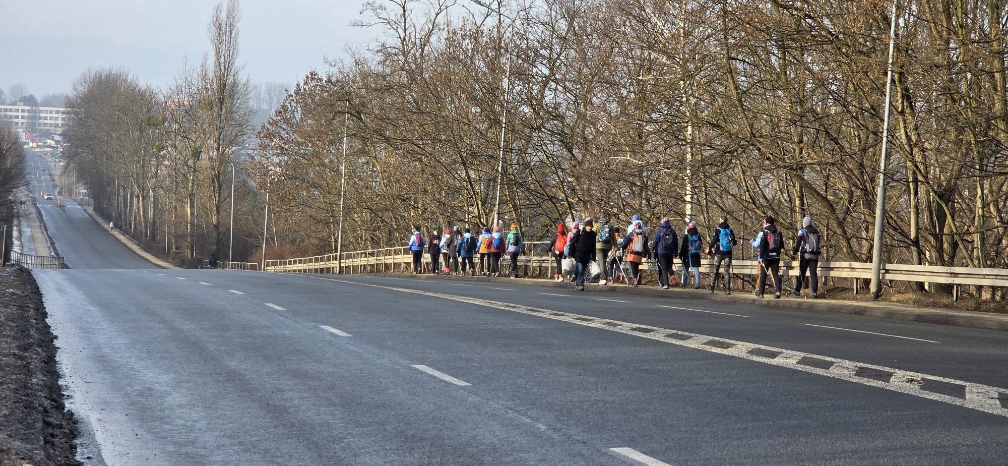 WOŚP Ruda Śląska: Ekipa Na Kijach przeszła 34 km – nordic walking przez dzielnice / fot. Ekipa na Kijach FB