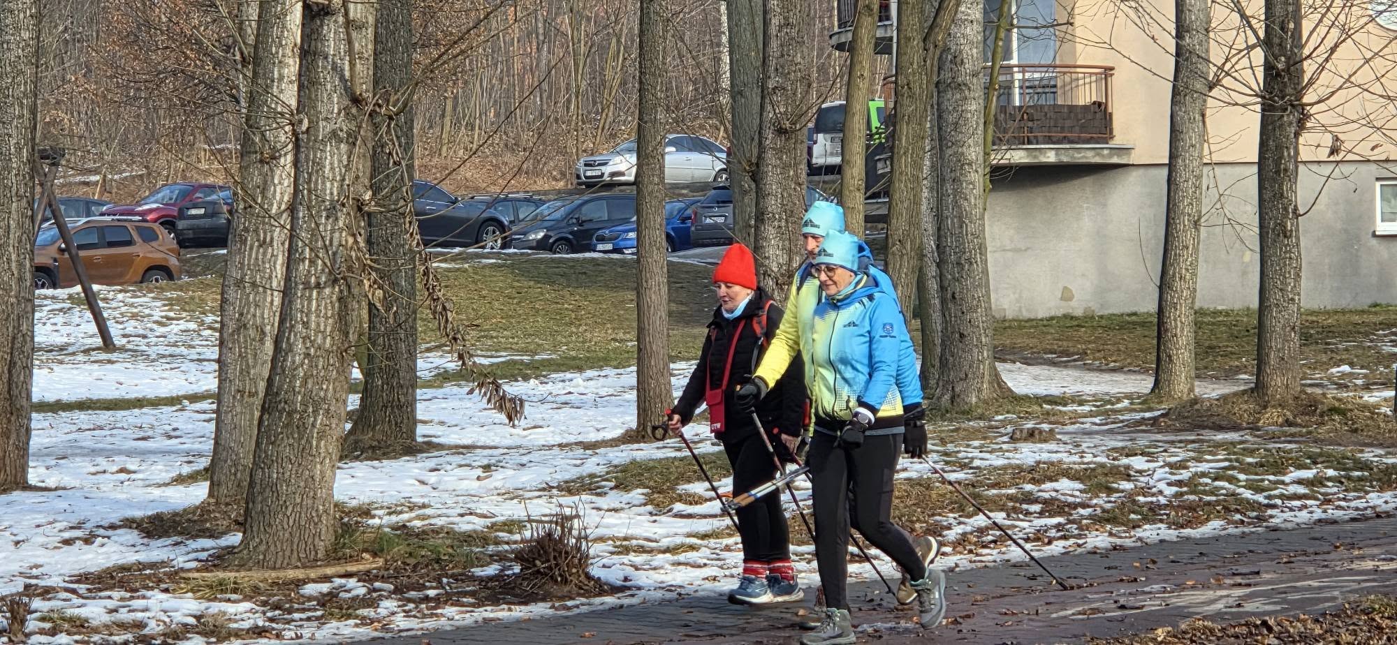 WOŚP Ruda Śląska: Ekipa Na Kijach przeszła 34 km – nordic walking przez dzielnice / fot. Ekipa na Kijach FB