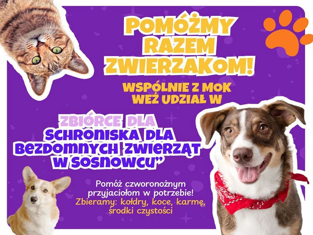 Pomóż schronisku w Sosnowcu – zbiórka darów dla bezdomnych zwierząt!
