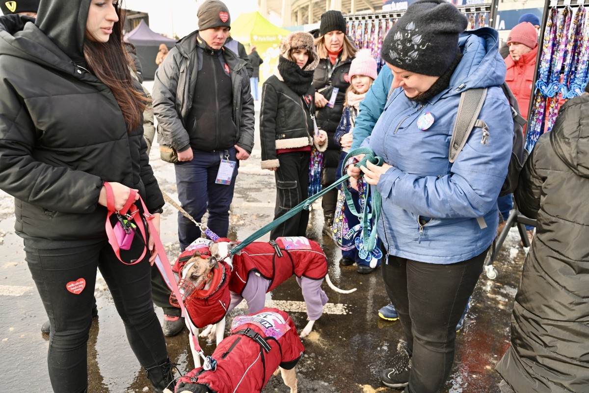 Serce Chorzowa zabiło dla dzieci! Podsumowanie 34. Finału WOŚP w naszym mieście / fot. UM Chorzów FB