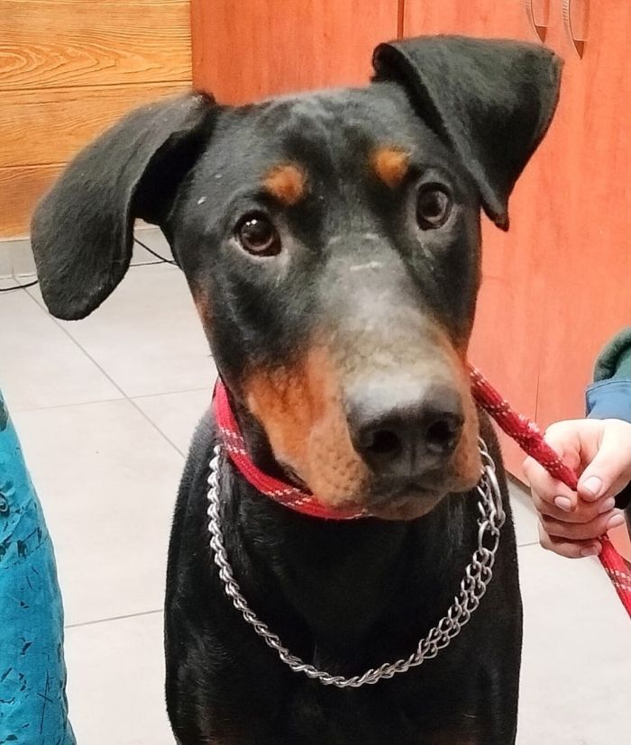 623489206_17997592418890048_765118005061876761_n