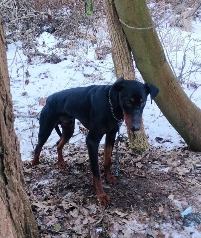 623518859_17997592409890048_5688507492240789134_n