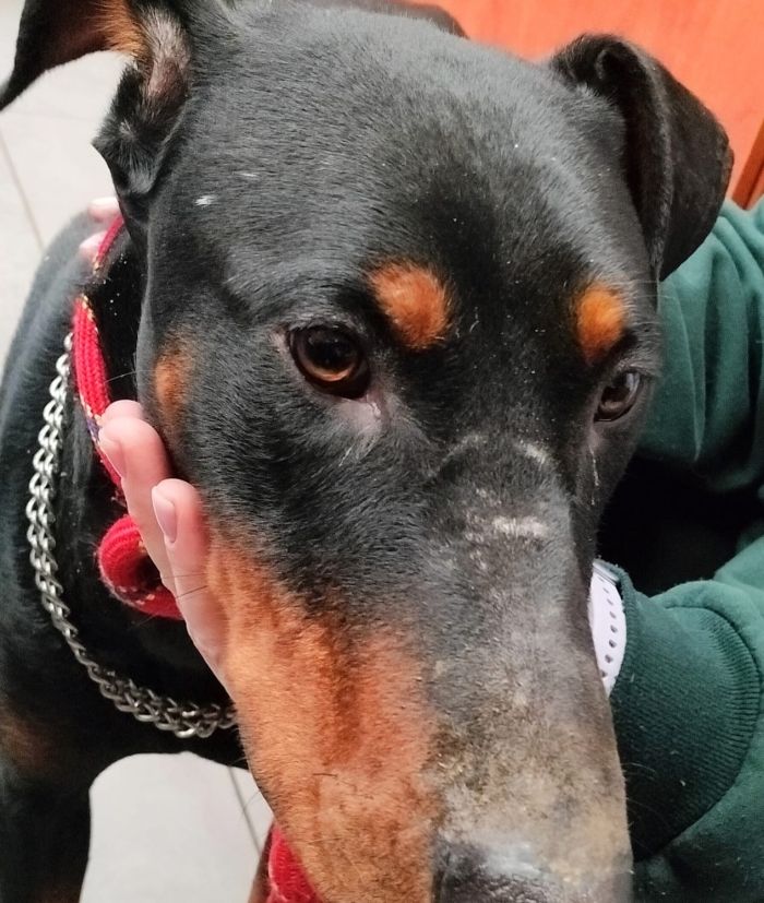 623861560_17997592427890048_8010943864851058071_n