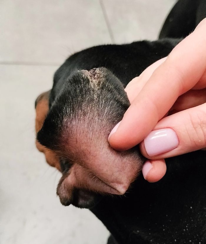 623863180_17997592436890048_3859806588045849307_n