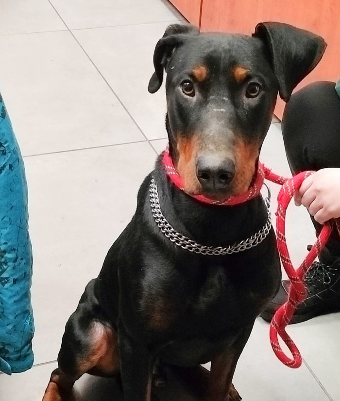 624299743_17997592445890048_1119802302281962869_n