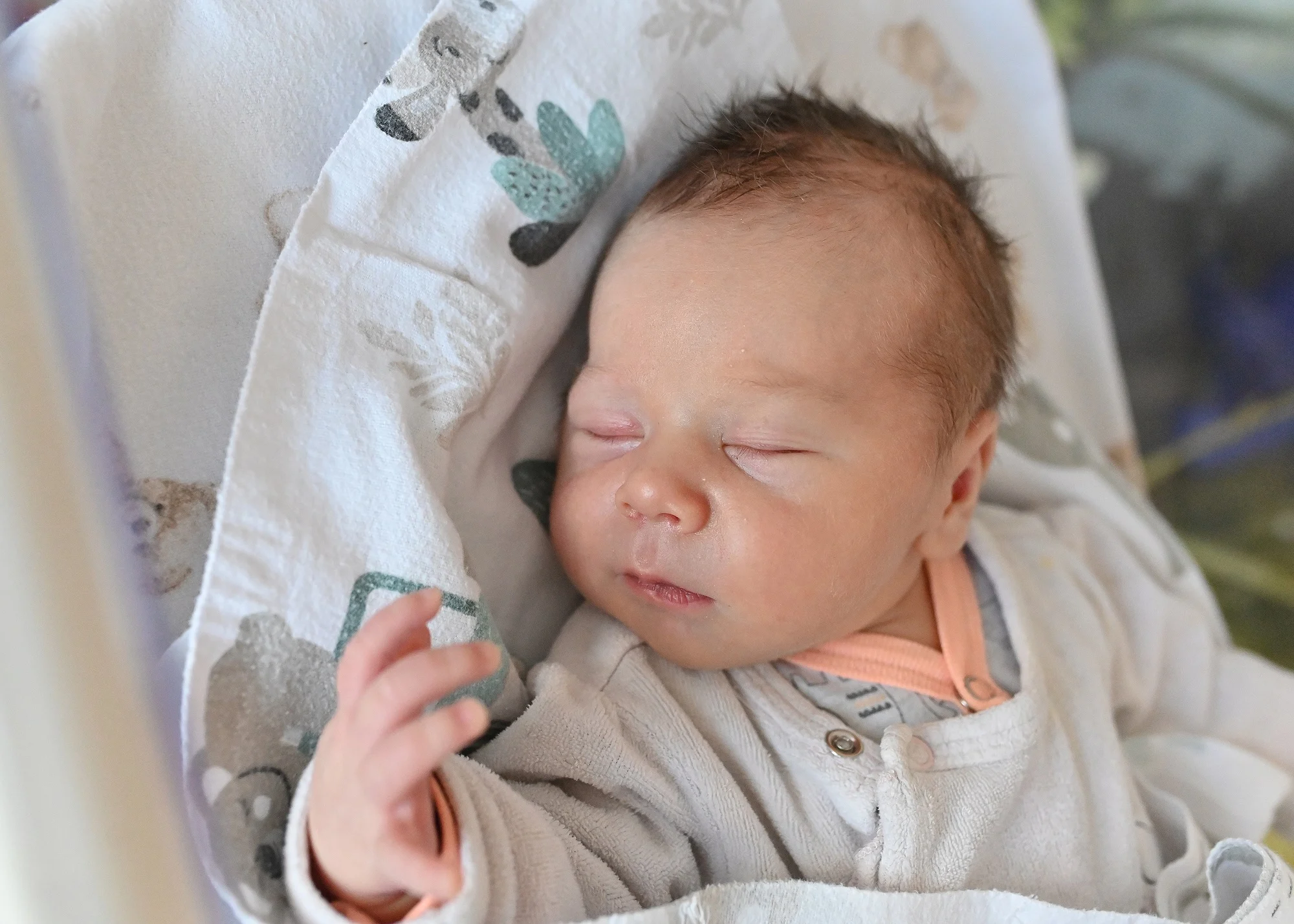 Franciszek Ścierski