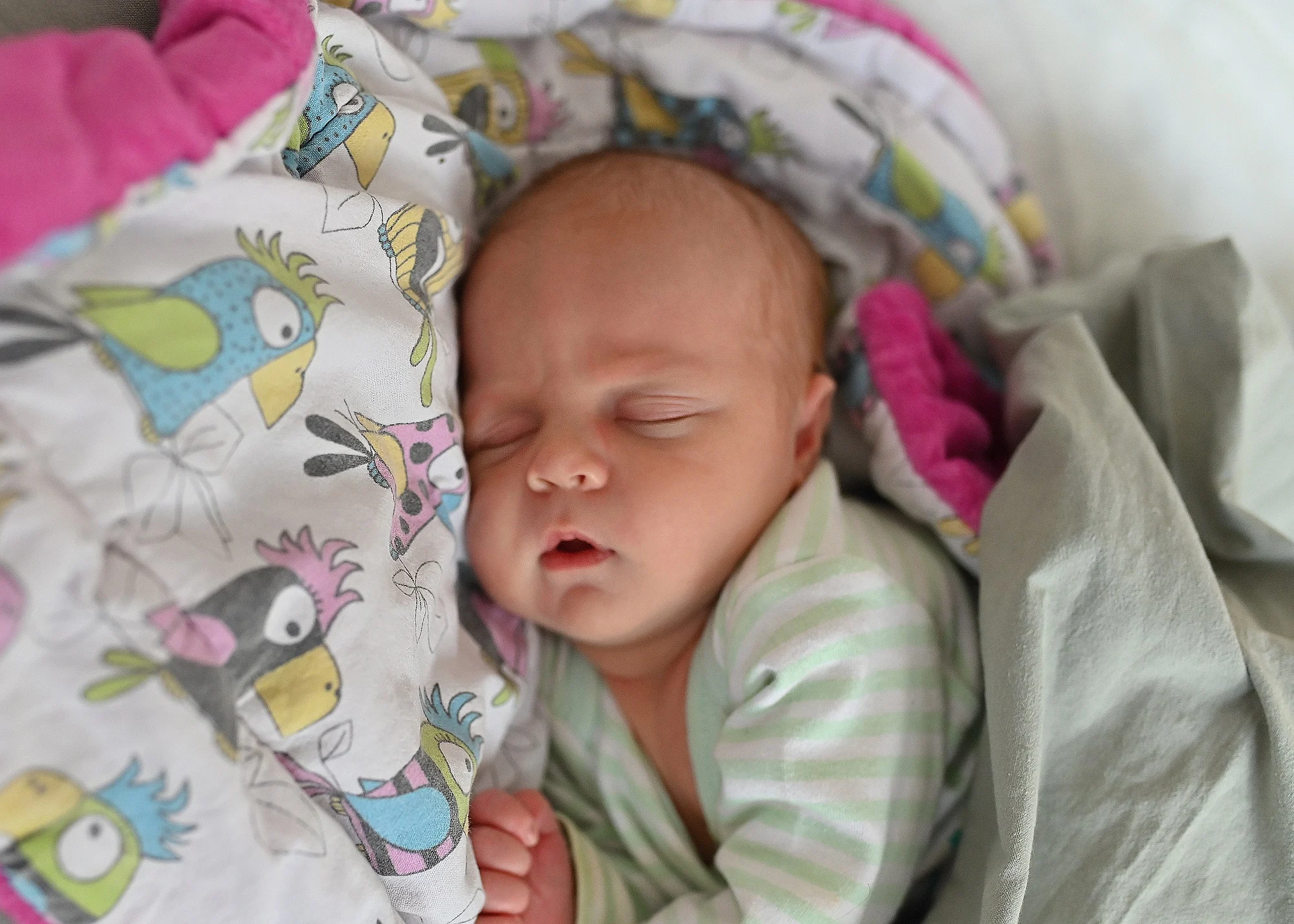 Najmłodsi mieszkańcy – styczeń 2026