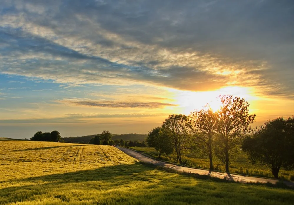Piekary Śląskie rozpoczynają prace nad Miejskim Planem Adaptacji do zmian klimatu
