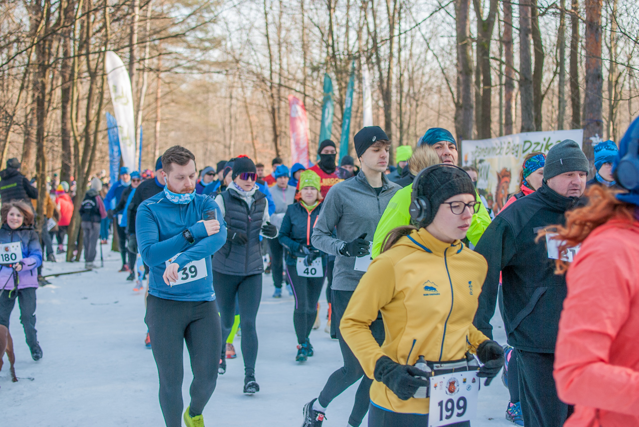 Panewnicki Dziki Bieg w Katowicach styczeń 2026 silesia info
