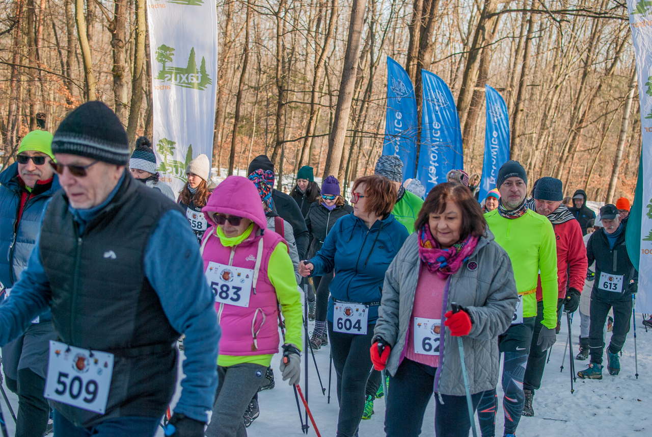 Panewnicki Dziki Bieg w Katowicach styczeń 2026 silesia info