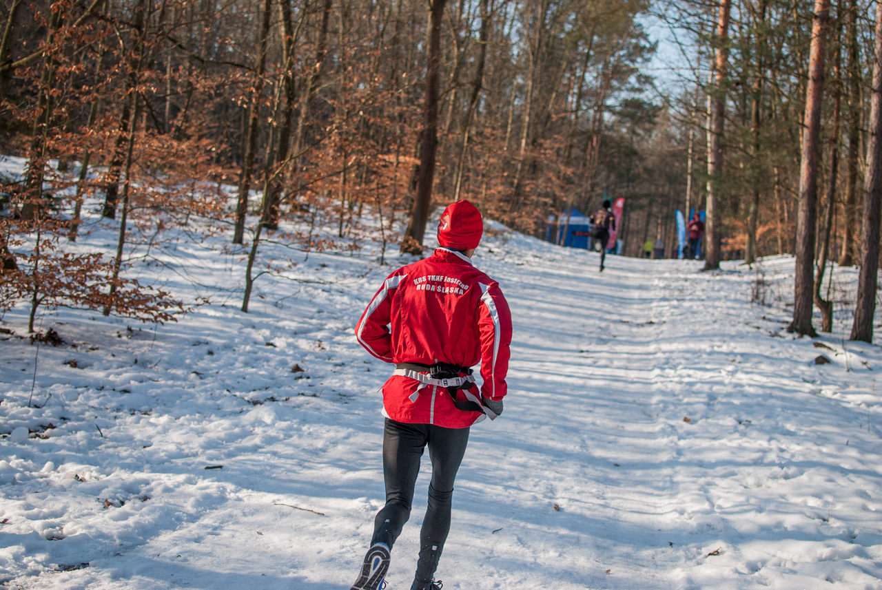 Panewnicki Dziki Bieg w Katowicach styczeń 2026 silesia info