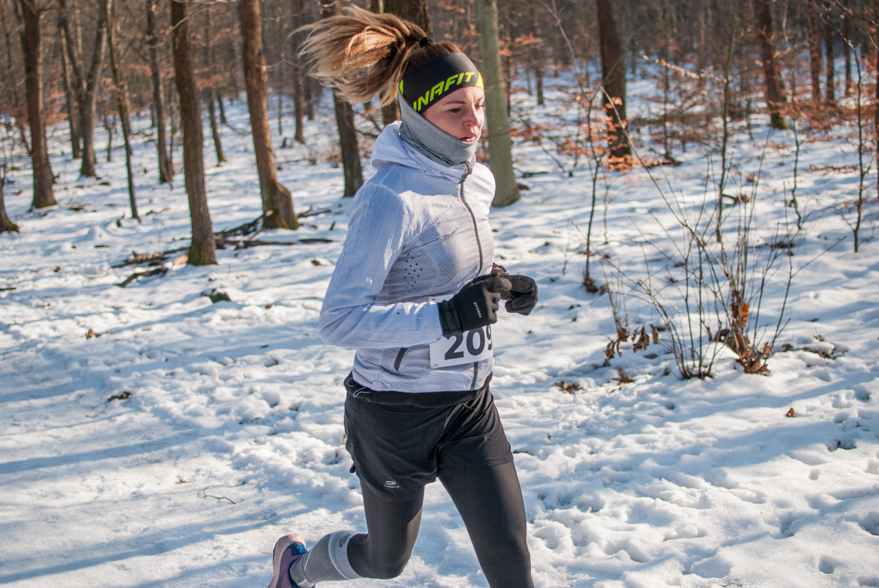 Panewnicki Dziki Bieg w Katowicach styczeń 2026 silesia info