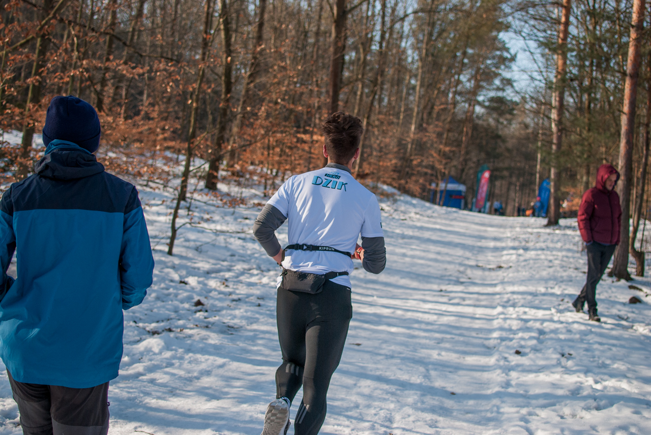 Panewnicki Dziki Bieg w Katowicach styczeń 2026 silesia info