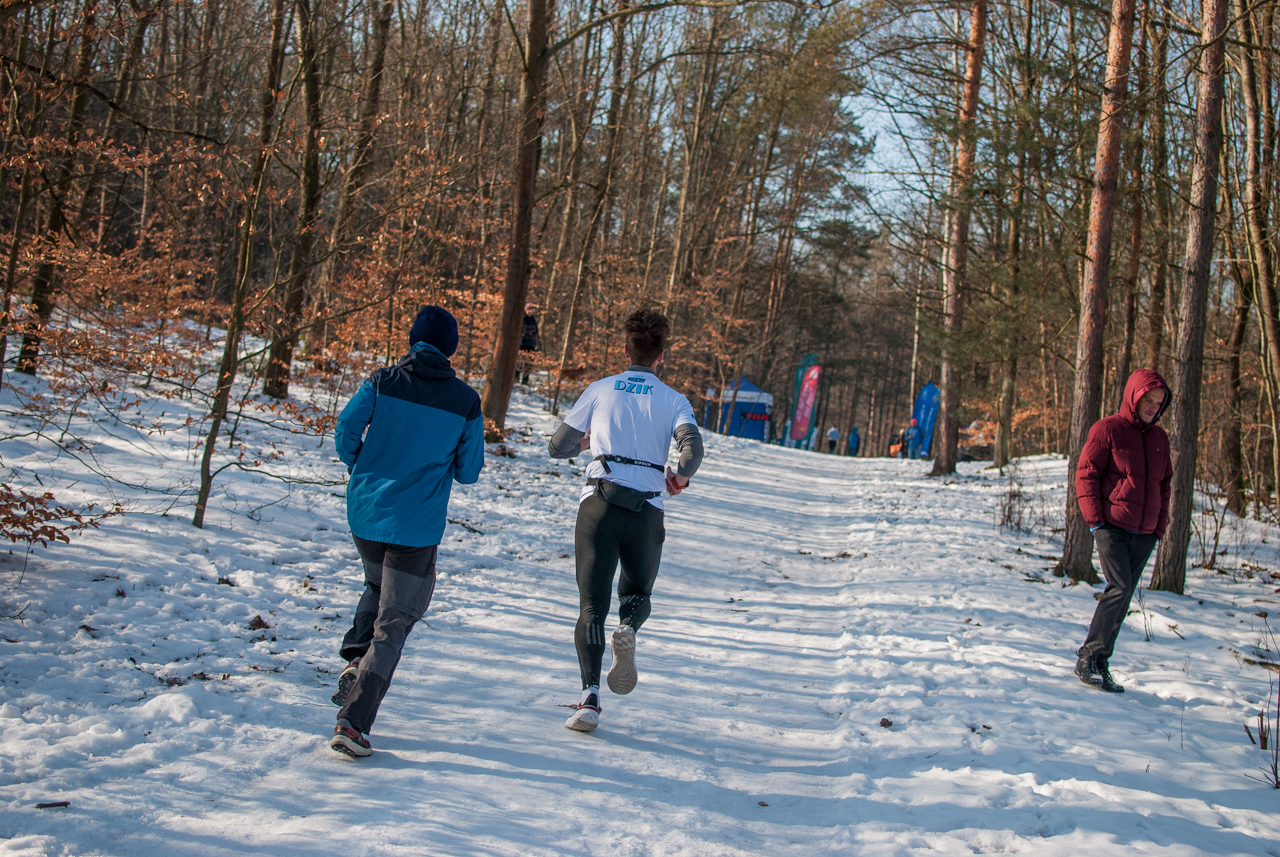 Panewnicki Dziki Bieg w Katowicach styczeń 2026 silesia info