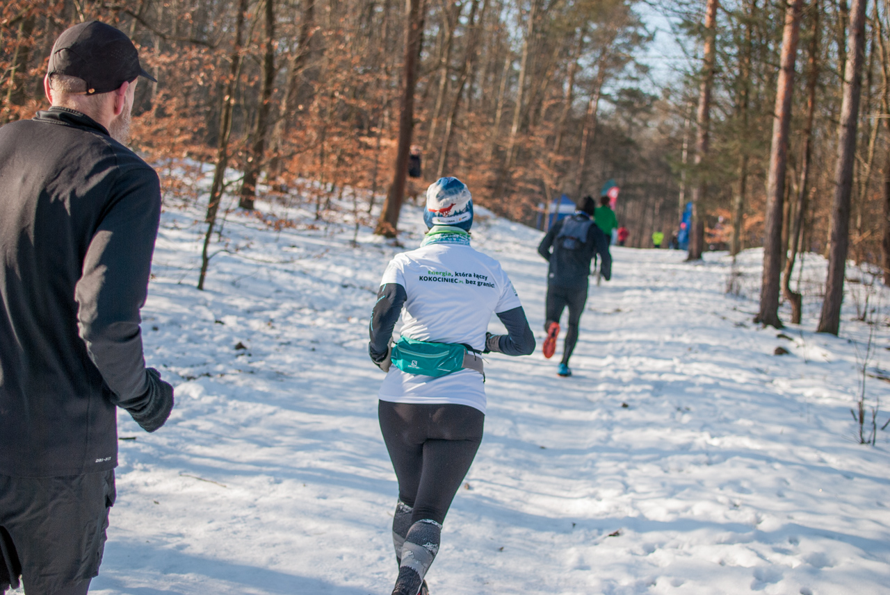Panewnicki Dziki Bieg w Katowicach styczeń 2026 silesia info