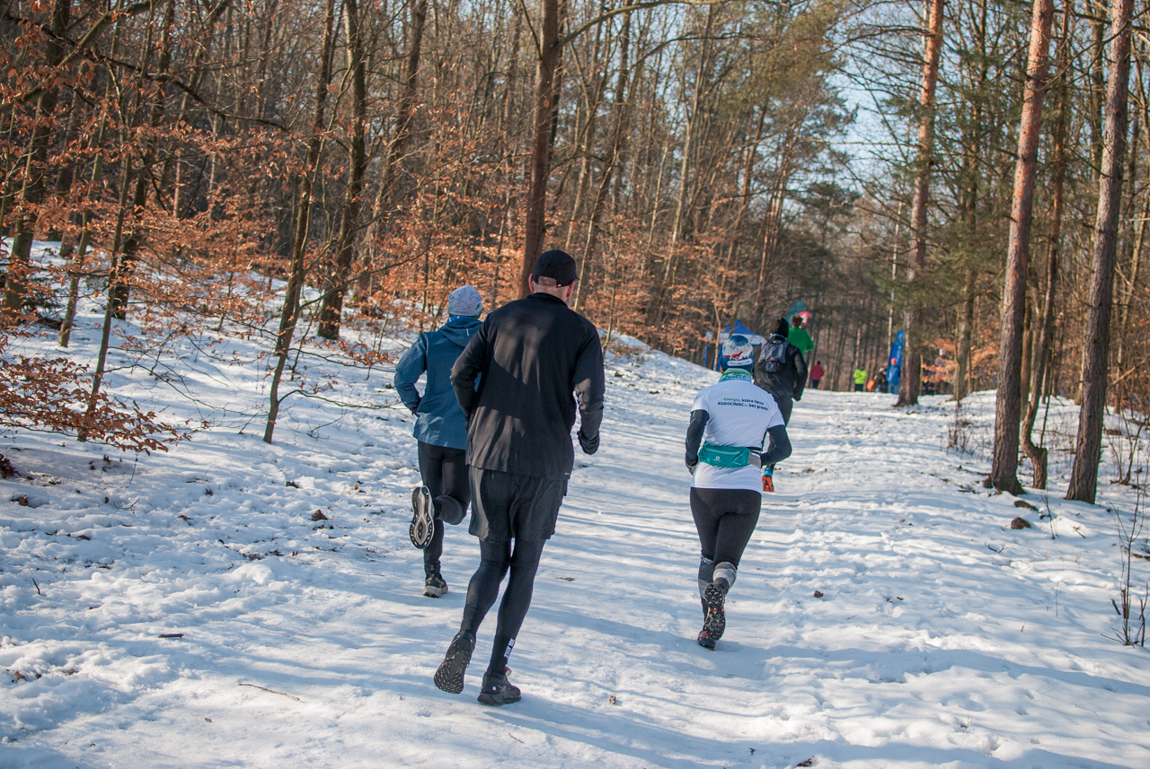 Panewnicki Dziki Bieg w Katowicach styczeń 2026 silesia info