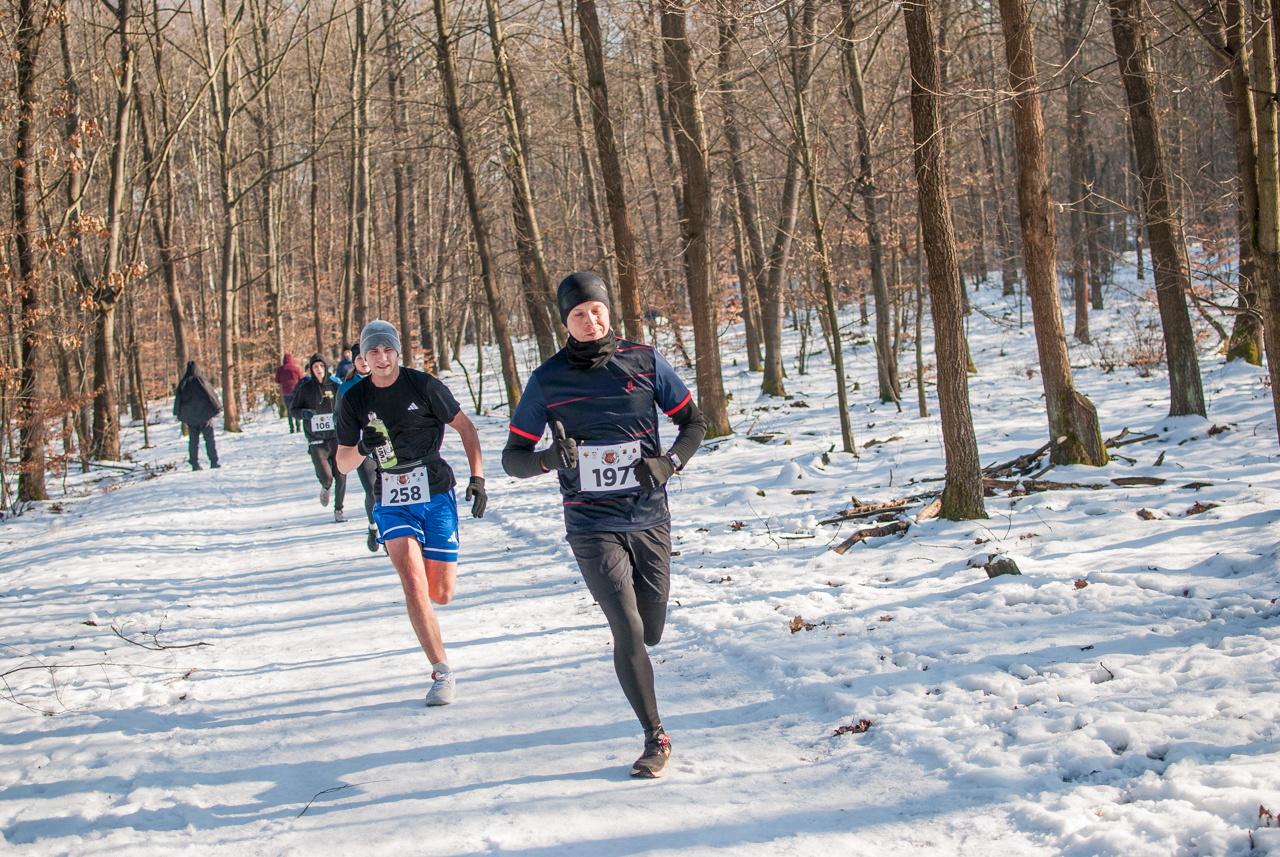 Panewnicki Dziki Bieg w Katowicach styczeń 2026 silesia info
