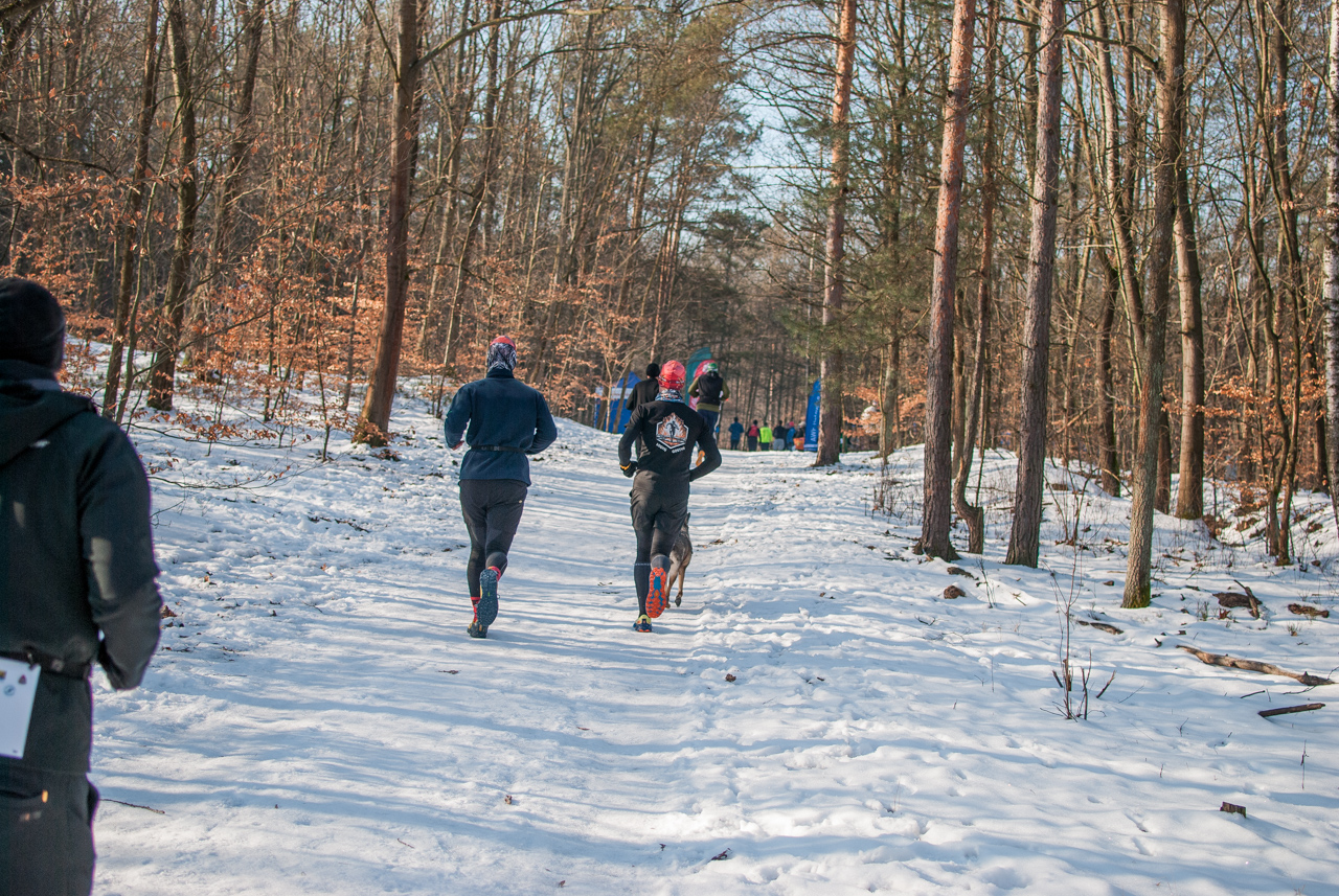 Panewnicki Dziki Bieg w Katowicach styczeń 2026 silesia info