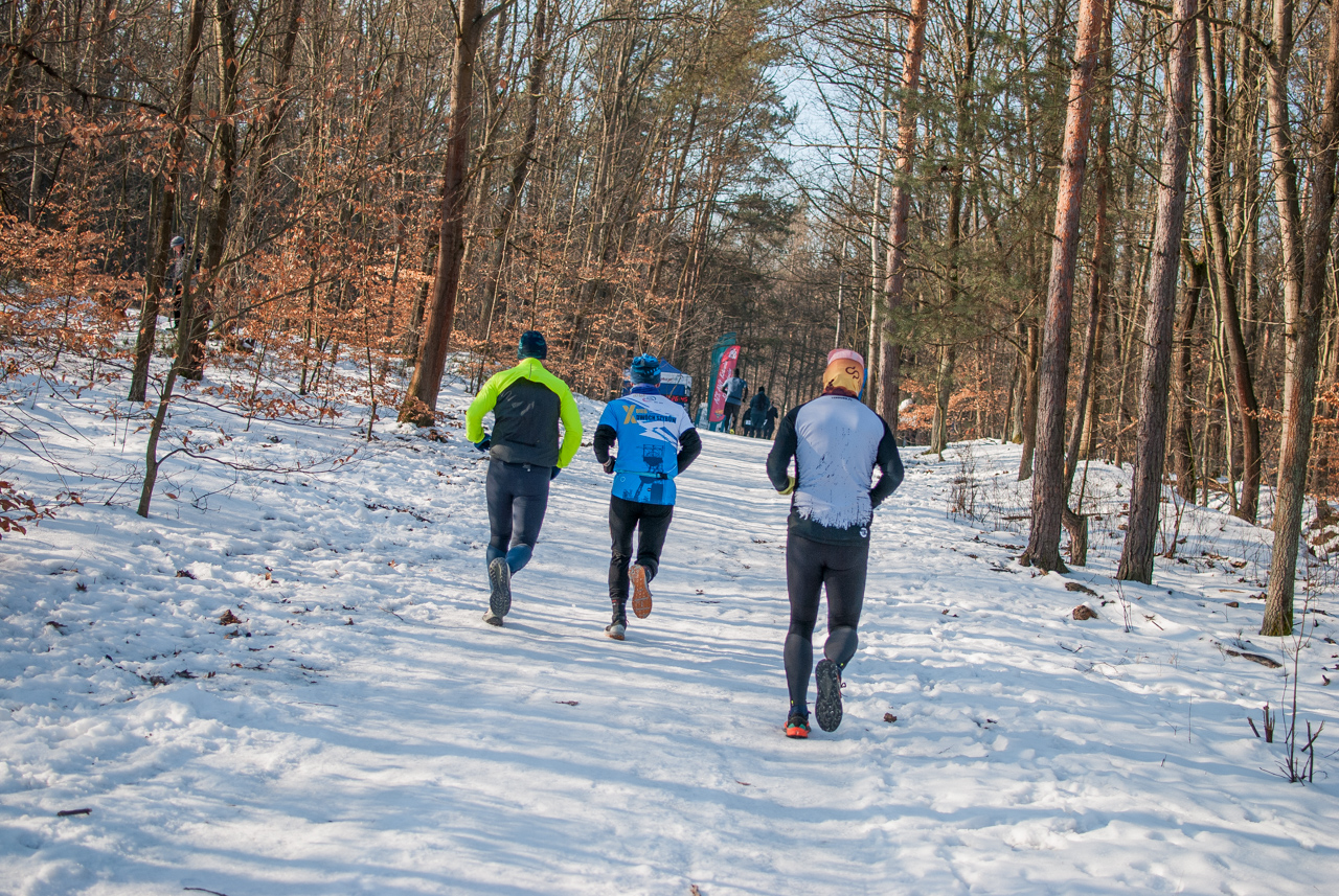 Panewnicki Dziki Bieg w Katowicach styczeń 2026 silesia info