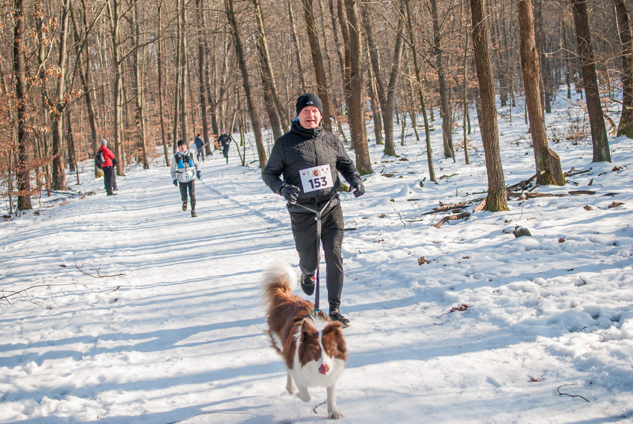 Panewnicki Dziki Bieg w Katowicach styczeń 2026 silesia info