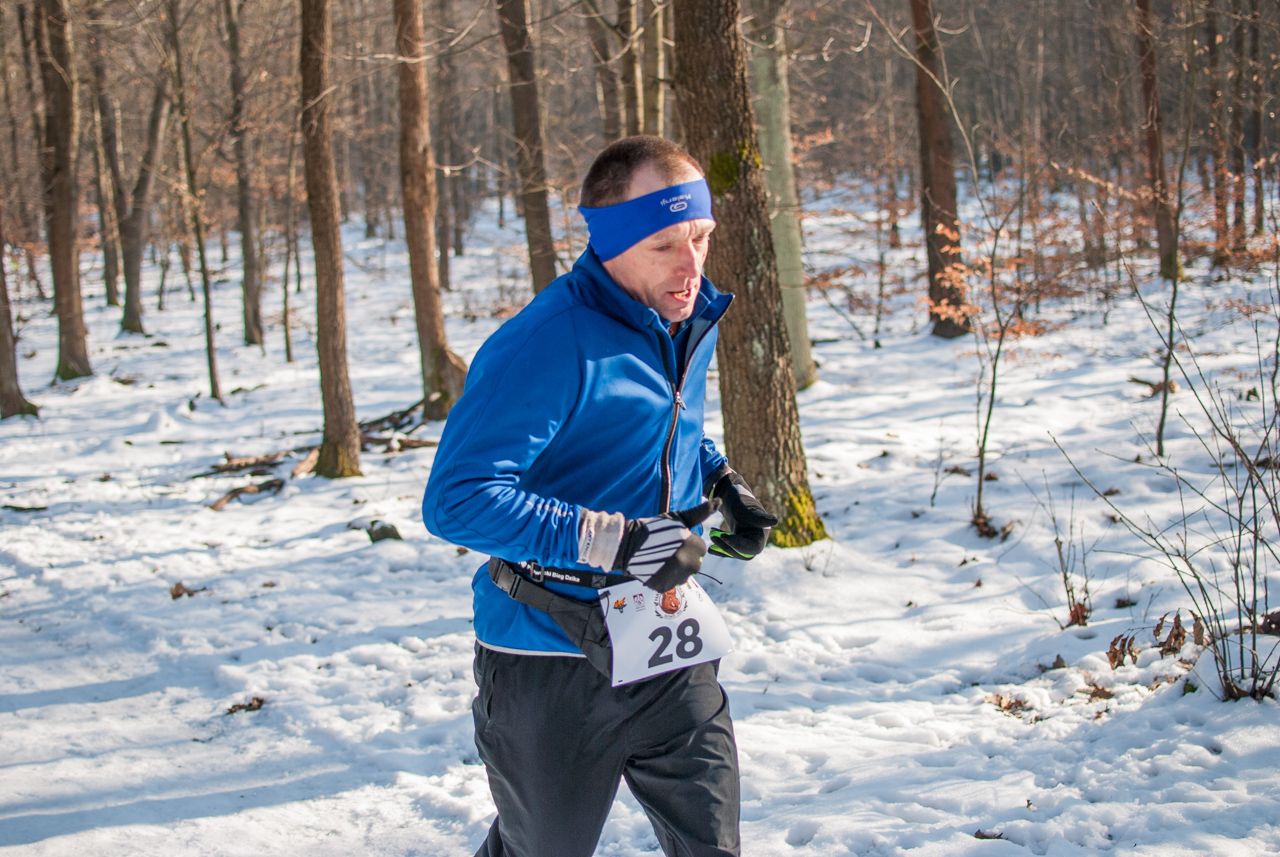 Panewnicki Dziki Bieg w Katowicach styczeń 2026 silesia info