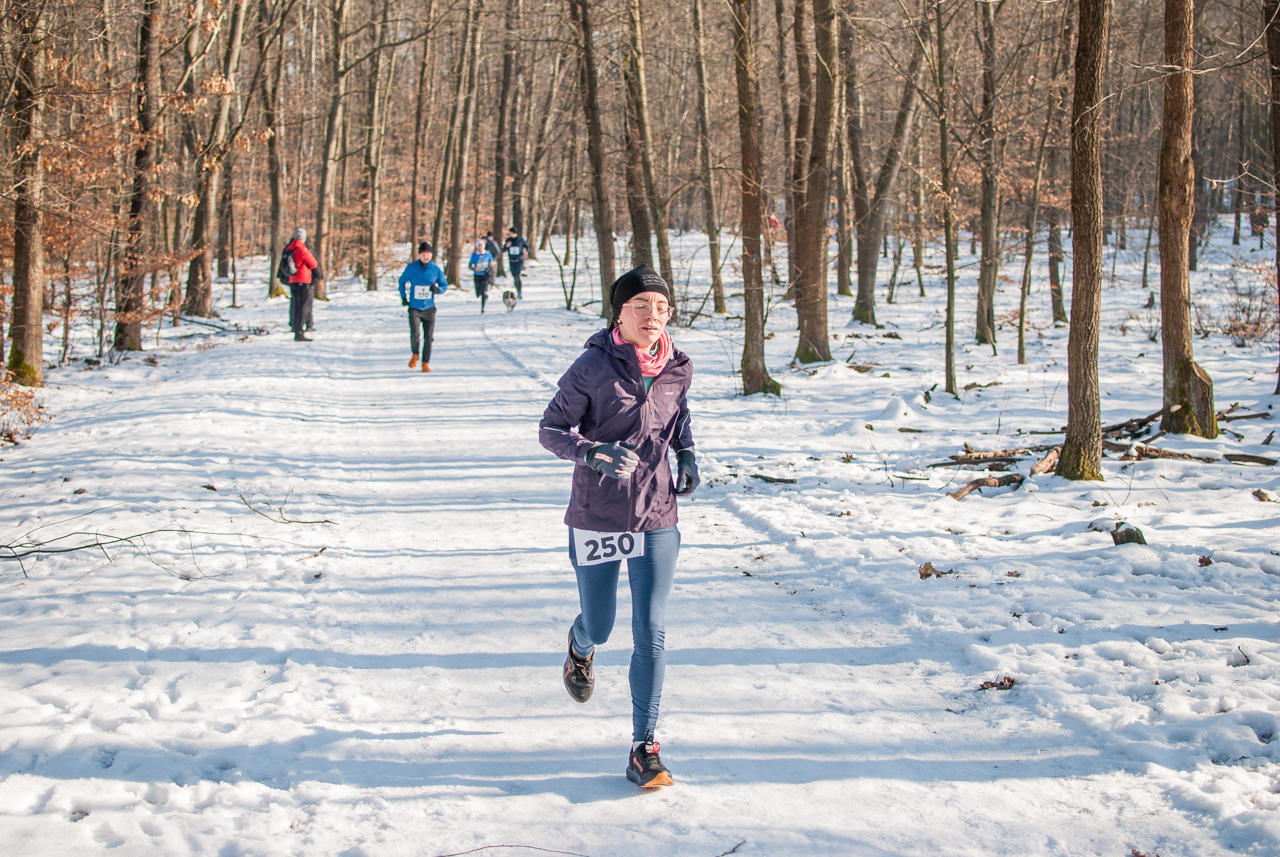 Panewnicki Dziki Bieg w Katowicach styczeń 2026 silesia info