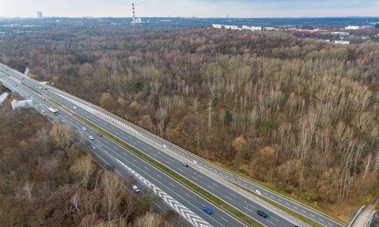 SRK przekazała Sosnowcowi 22 ha terenów zielonych. Park Tysiąclecia rośnie