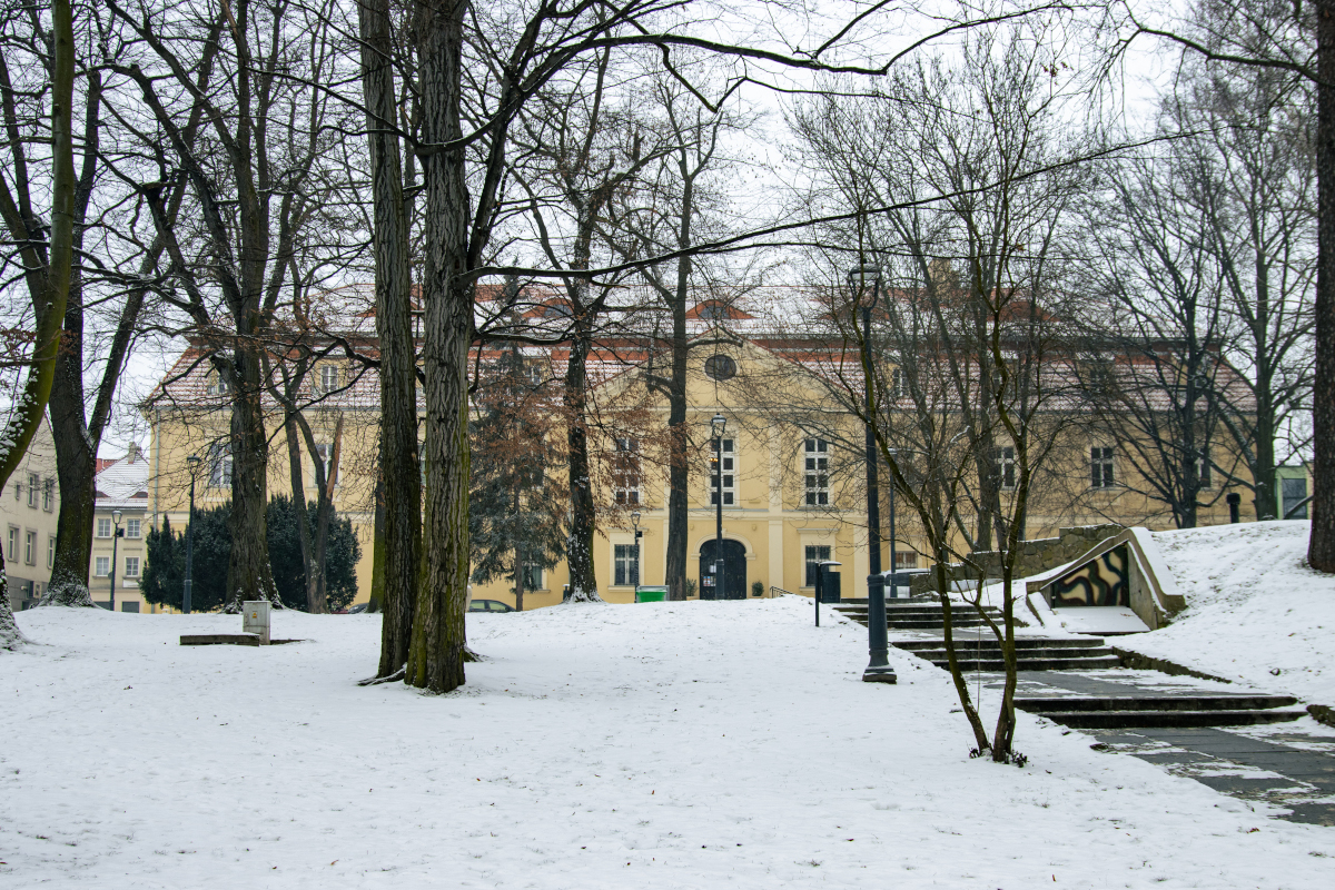 Zimowe niebo na płótnie – warsztaty artystyczne w Muzeum w Wodzisławiu