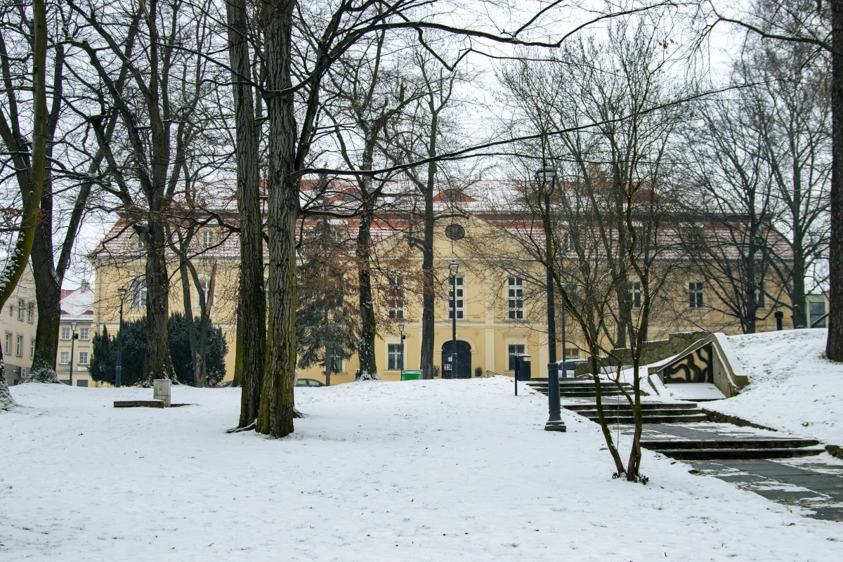 Zimowe niebo na płótnie – warsztaty artystyczne w Muzeum w Wodzisławiu