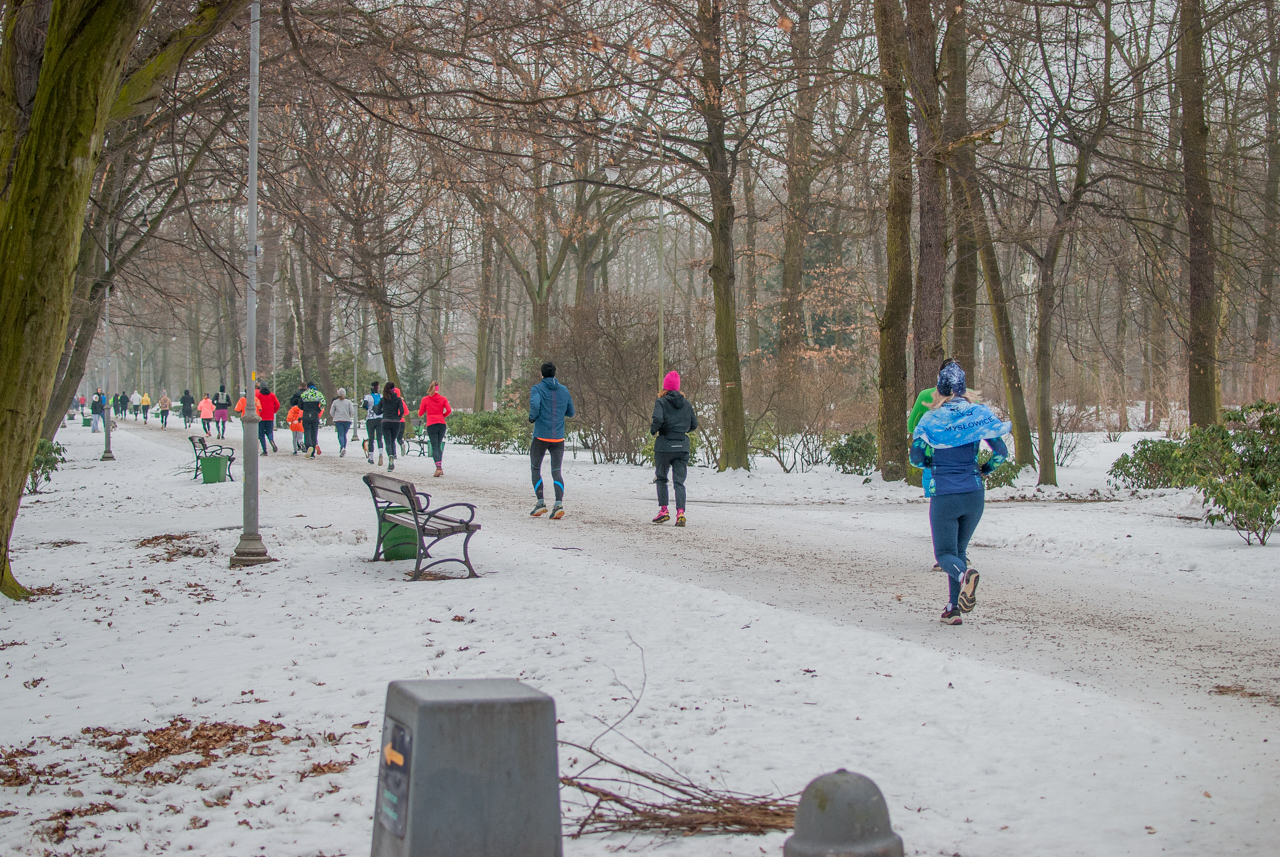 Parkrun Katowice pobiegł dla WOŚP (130)