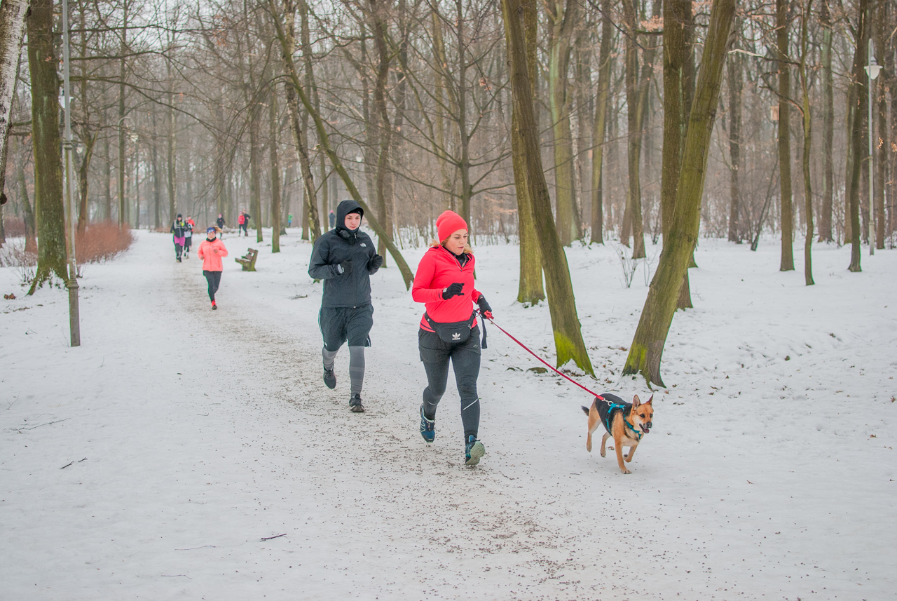 Parkrun Katowice pobiegł dla WOŚP (168)