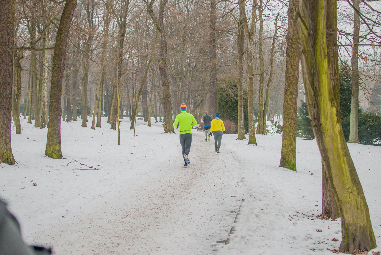 Parkrun Katowice pobiegł dla WOŚP (207)