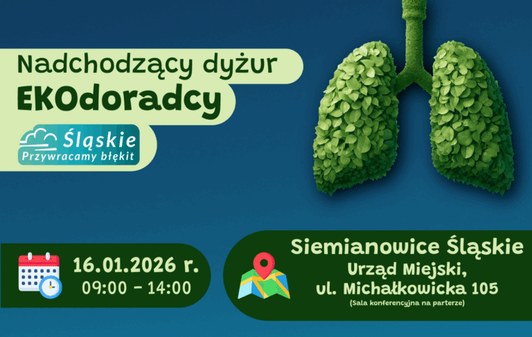 Dyżur Ekodoradcy – jak poprawić efektywność energetyczną w Twoim domu?