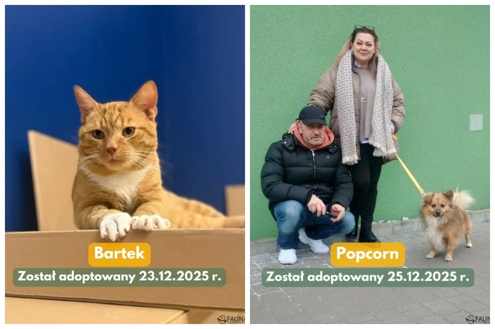Kolejne czworonogi z „Fauny” pojechały do nowych domów!